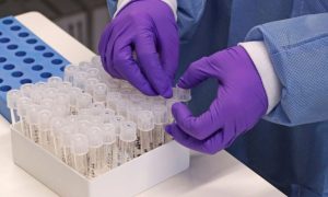 OMS diz que vírus Nipah na Índia não indica nova pandemia