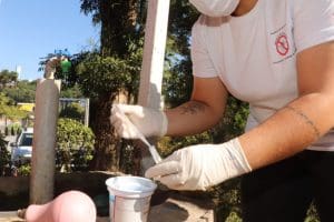 Número de cidades com alto risco de transmissão de dengue sobe para 47 em SC