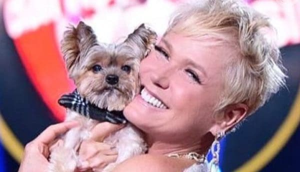 Xuxa Meneghel conta que já teve 54 cachorros
