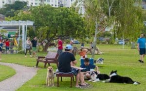 Festa do projeto TUM Happy Sunset acontece nesse domingo em Coqueiros