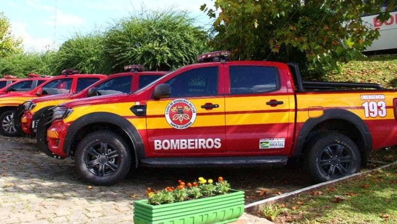 Cobra presa em piscina é resgatada pelos bombeiros