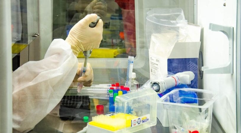 Cientistas paulistas identificam linhagens inéditas de Covid-19 no Brasil