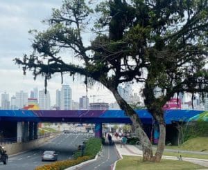 Passeio pelas ruas de Balneário Camboriú revela museu a Céu Aberto