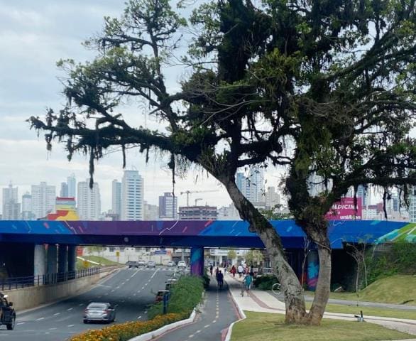 Passeio pelas ruas de Balneário Camboriú revela museu a Céu Aberto