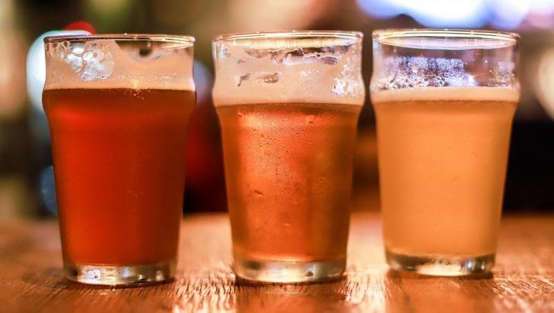 Primeiro festival de cerveja de Indaial ocorre em novembro