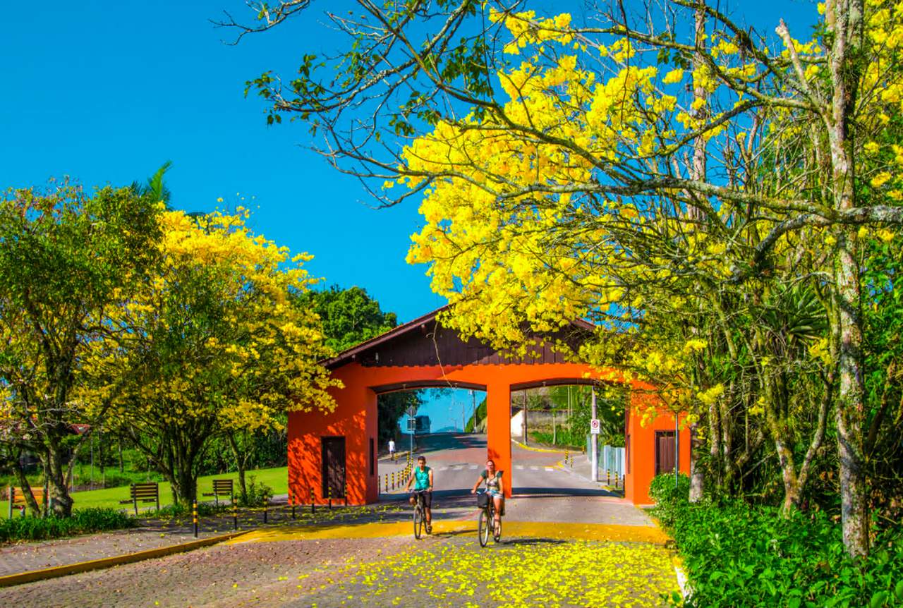Conheça 12 motivos para visitar Timbó, a Pérola do Vale