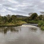 Outubro inicia com nível elevado do Rio Camboriú, mas monitoramento segue diário