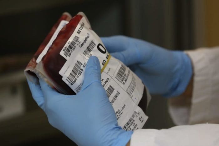 Estado comemora o Dia Nacional do Doador de Sangue