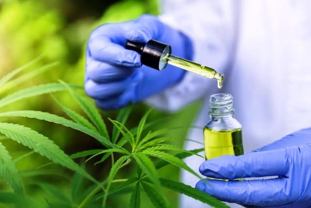 Médica explica efeitos da cannabis medicinal no tratamento de câncer