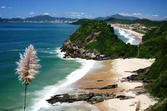 Balneário Camboriú alerta sobre ressurgimento de escorpiões na Praia dos Amores