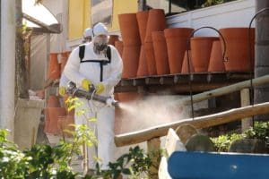 Blumenau terá ação de combate à dengue com fumacê nesta segunda