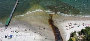 Florianópolis: virose ultrapassa 700 casos e vira epidemia