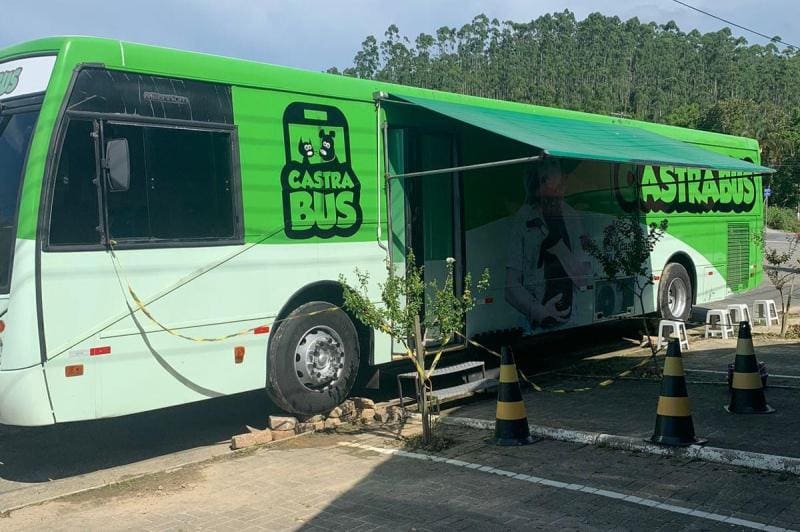 Mutirão de castração de animais de Itajaí realiza primeira ação do ano