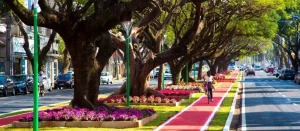 Inscrições para o III Fórum Catarinense de Arborização Urbana encerram amanhã