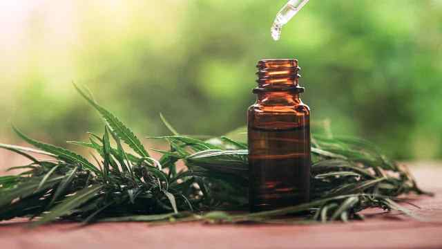 Encontro na Câmara de São José vai debater uso medicinal do Canabidiol