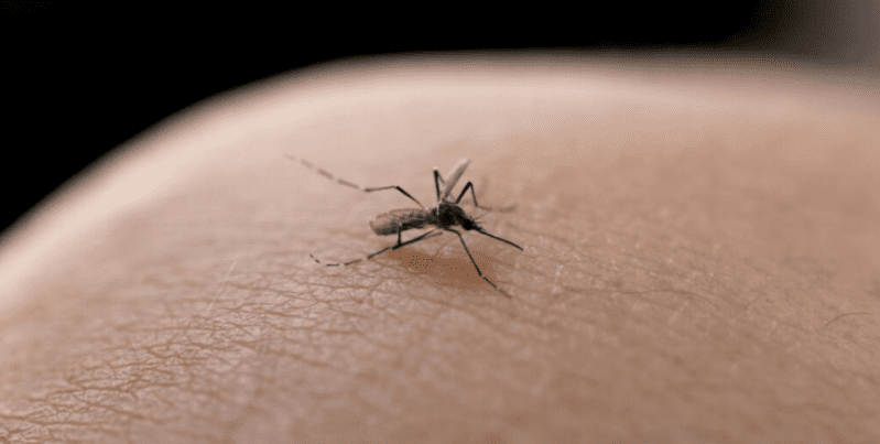 Joinville confirma quarta morte por dengue neste ano de 2023