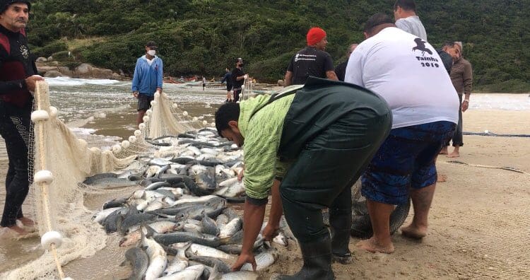 Bombinhas recebe prêmio na Alemanha por pesca artesanal