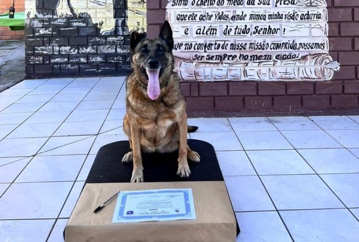 Cachorra é aposentada da PM e ganha cerimônia especial