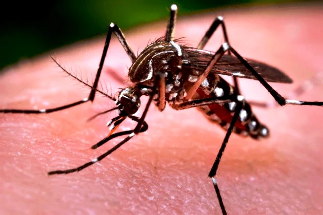 Governo pagará R$ 60 mil a famílias de crianças afetadas pelo Zika
