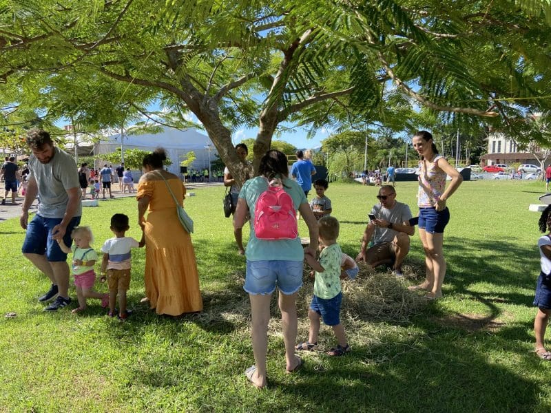Timbó: Caça aos Ovos Dourados atrai mais de 7 mil pessoas ao parque