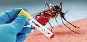 Mais de 11 mil casos de dengue são registrados na Grande Florianópolis