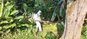 Dengue: fumacê vai ser realizado nesta terça-feira em Blumenau