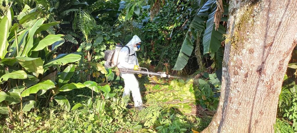 Dengue: fumacê vai ser realizado nesta terça-feira em Blumenau