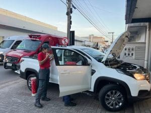 Bombeiros retiram cobra de dentro de veículo comprado em Brusque