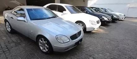 Coleção de Mercedes de Hebe Camargo está a venda