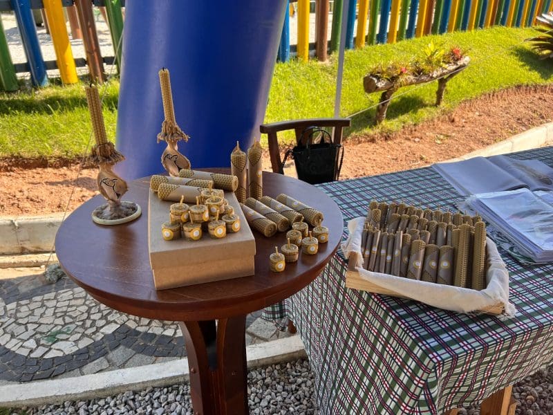 Dia das Abelhas: evento promove Objetivos de Sustentabilidade