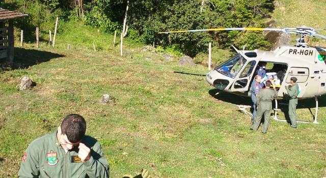 Homem tenta derrubar árvore no interior e acaba atingido na perna
