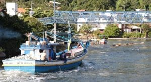 Dia do Pescador: histórias sinistras de pescarias em Florianópolis