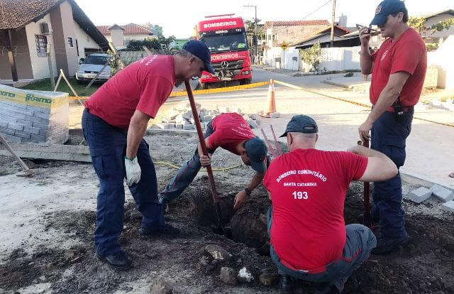 Resgate de cãozinho preso em cano tem desfecho surpreendente em Porto Belo