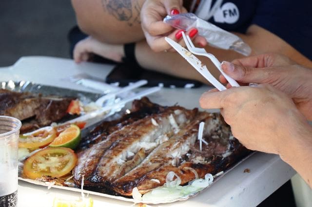 Balneário Camboriú: festa Raízes de Taquaras tem público recorde