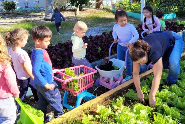 Horta em escola enriquece alimentação dos alunos em Balneário Camboriú