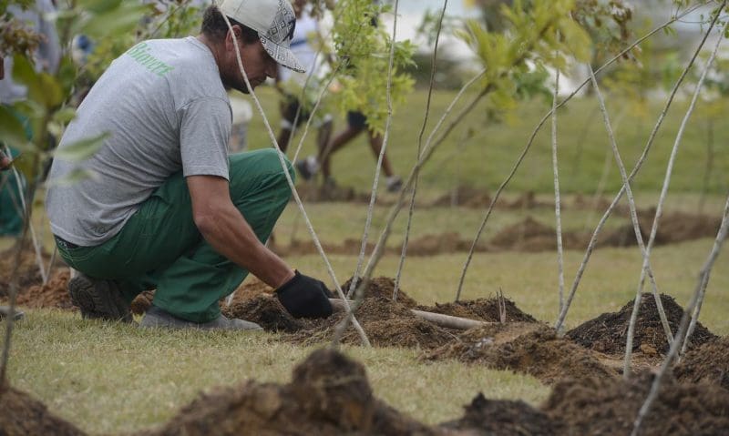 Nova Trento terá feira de mudas ornamentais e frutíferas