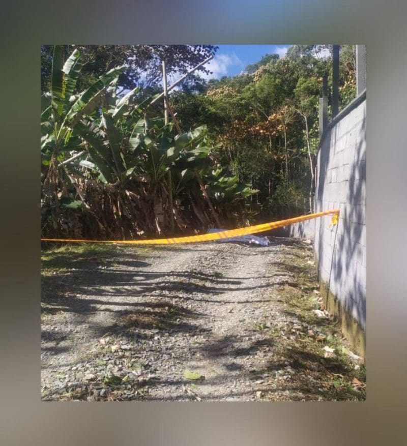 Trabalhador morre atingido por árvore em Brusque