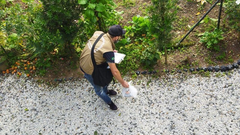 Brusque chega a 126 casos de dengue neste ano de 2023