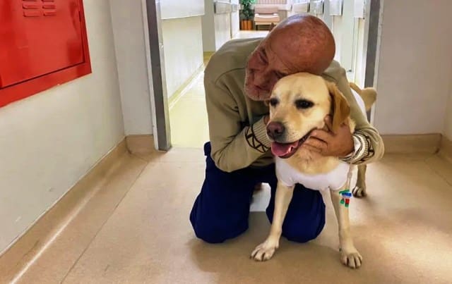 Cachorra dos bombeiros que visita pacientes com câncer vai receber crachá