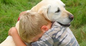 Alunos com autismo farão terapia com auxílio de cães no Sul de SC   