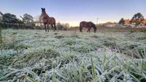 Frio intenso chega a SC com chance de geada e temperaturas negativas