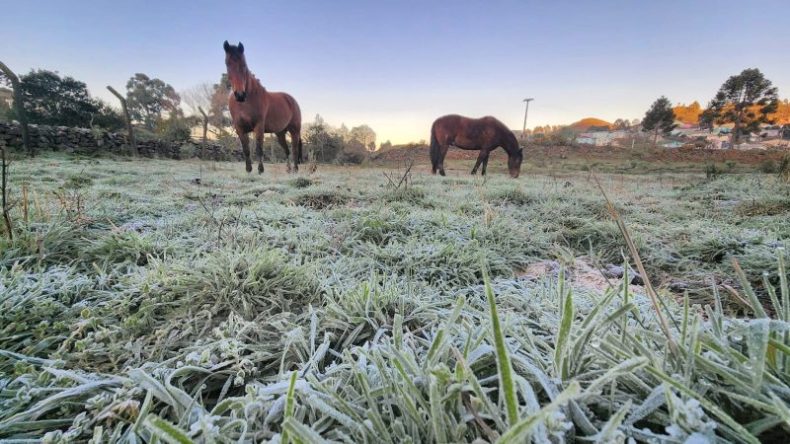 Frio e geada marcam fim de semana de sol em SC