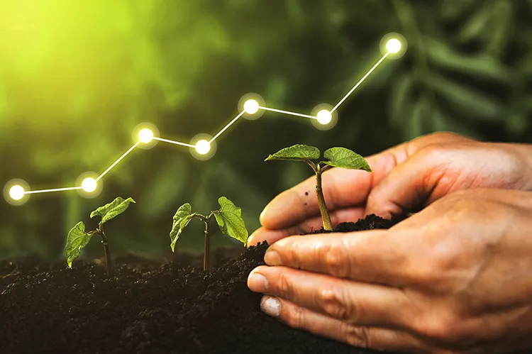 Blumenau é escolhida para participar de programa de bioeconomia