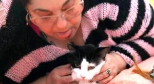 Dona de cinco gatos confessa vício em comer bolas de pelos dos animais