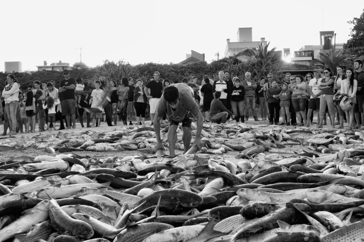 Fotógrafo lança livro sobre pesca artesanal da tainha em Bombinhas