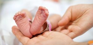 Feto é encontrado dentro de caixa de sapato após aborto