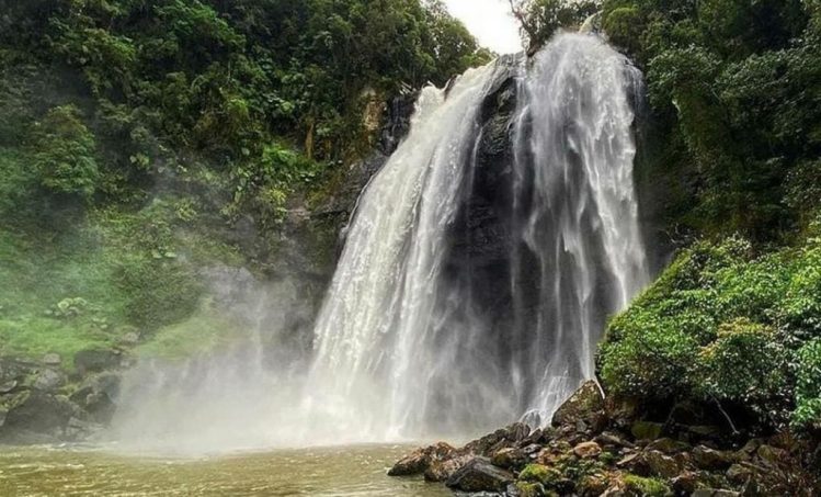 Doutor Pedrinho promove Festa da Natureza de 22 a 24 de setembro