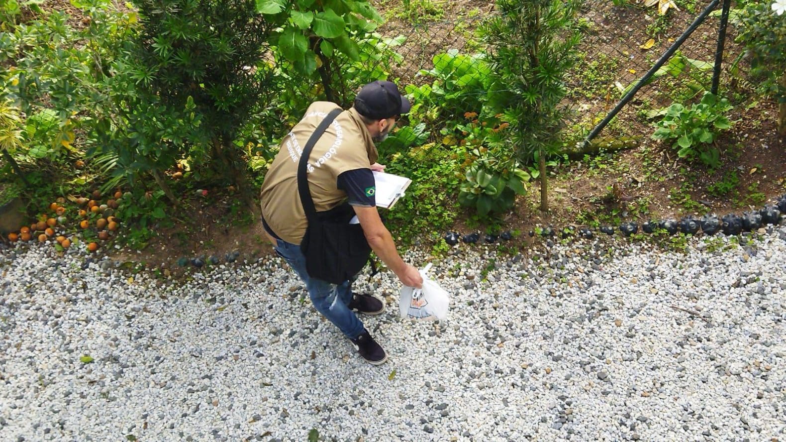 Dengue: Brusque continua com 131 casos da doença e mais de mil focos