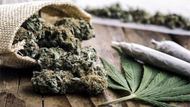 Maioria dos brasileiros é contra a liberação recreativa da maconha