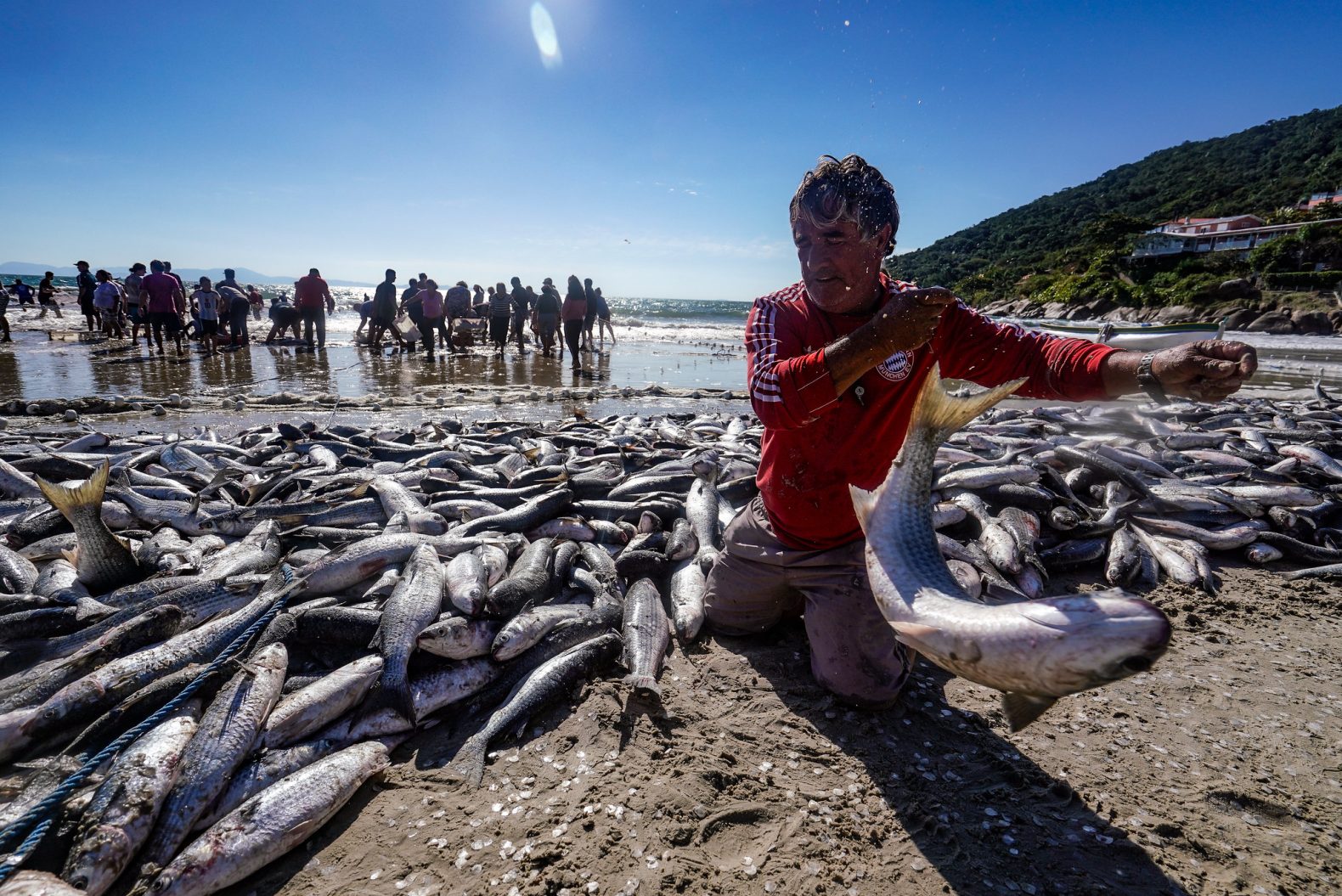 Governo prorroga prazo para cadastro de pescador até 10 de novembro